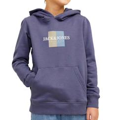 Sweat garçon à capuche jorfre  - vertbaudet enfant