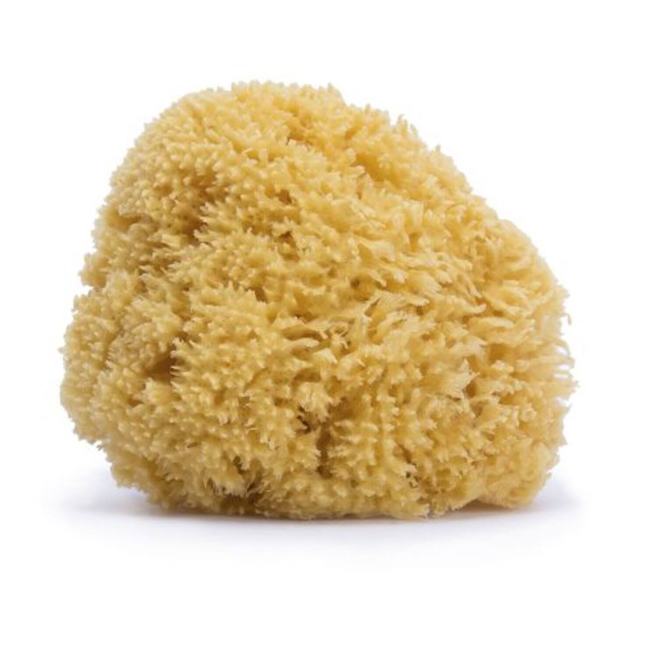 Éponge En Fibre Naturelle Jaune (Suavinex) - Image 1