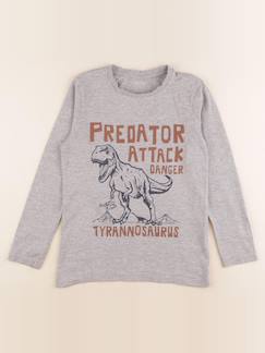 Seconde main-Tee-shirt - 10 ans