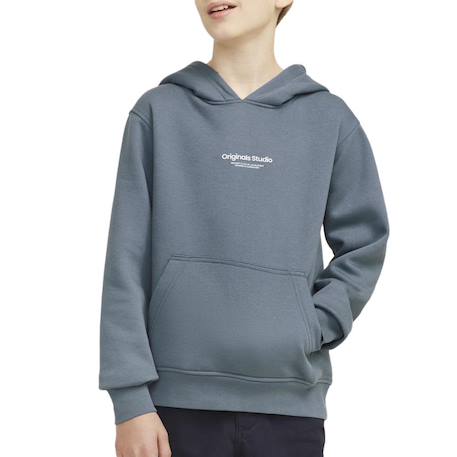 Sweat à capuche garçon vesterbro  - vertbaudet enfant
