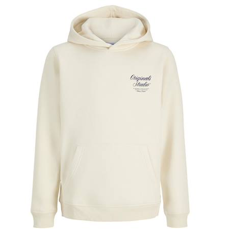 Sweat à capuche garçon orrebro typo  - vertbaudet enfant