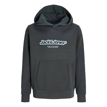 Garçon-Pull, gilet, sweat-Sweat à capuche garçon newton branding