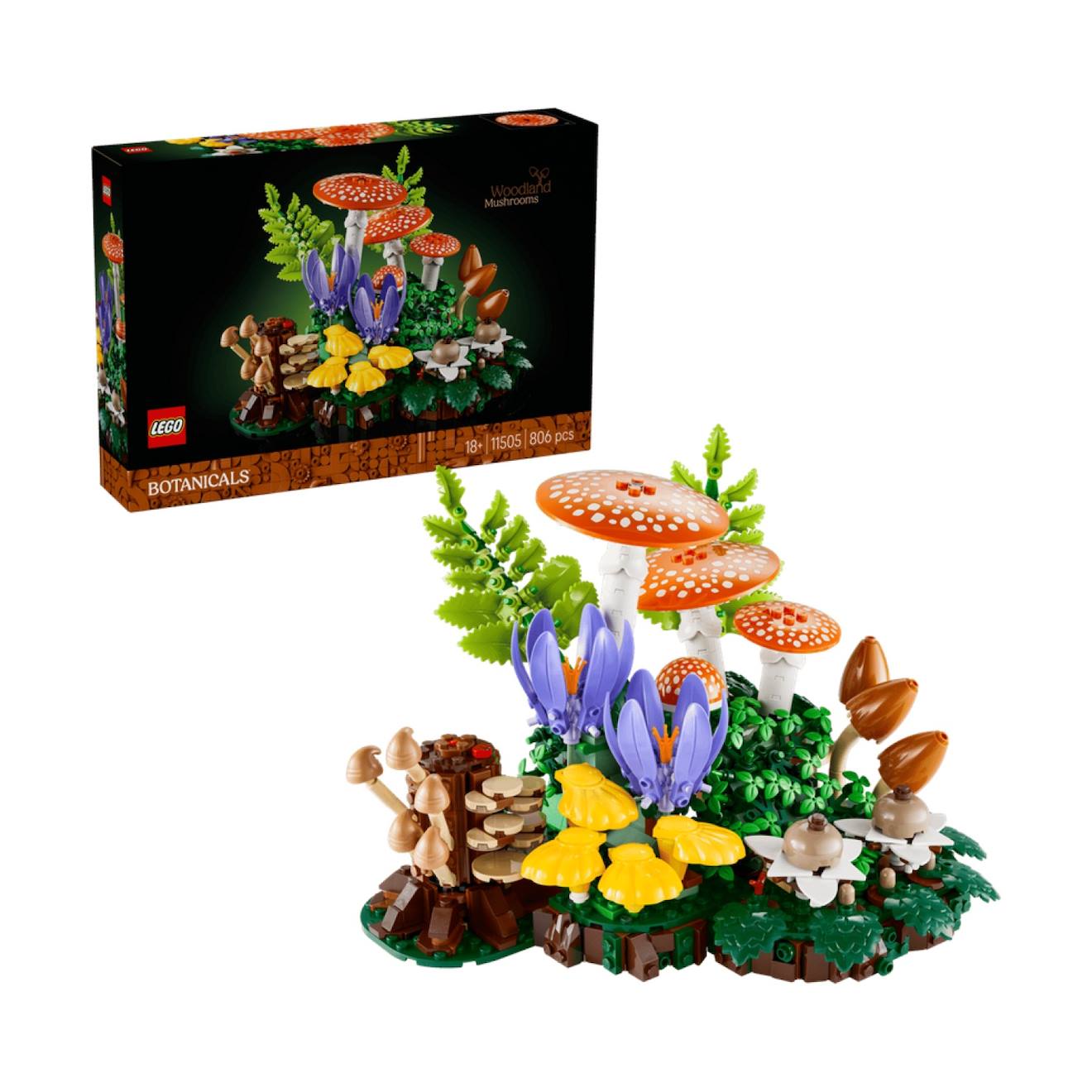 Botanicals Les Champignons Des Bois 11505 Multicolore