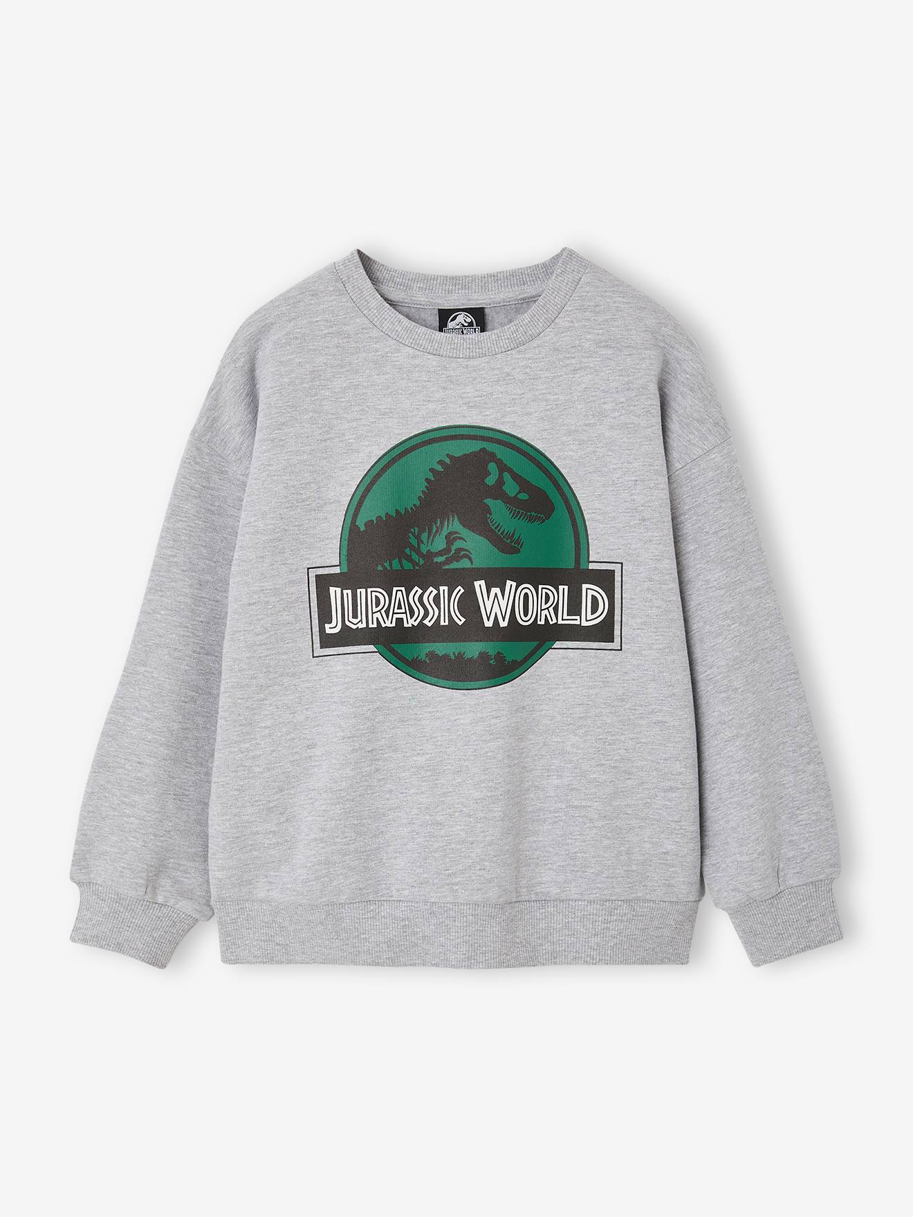 Sweat garçon Jurassic World gris chiné