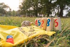 -Jeu d'adresse en bois fsc - jeu de quilles - jeu extérieur