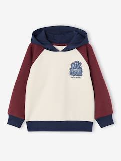 -Sweat à capuche garçon