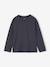 Lot de 3 T-shirts manches longues garçon bleu roi+vert 4 - vertbaudet enfant 