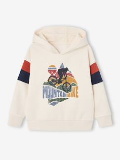 -Sweat garçon à capuche motif placé