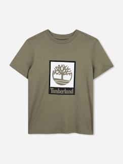 Garçon-T-shirt, polo, sous-pull-T-shirt-T-shirt  garçon col rond