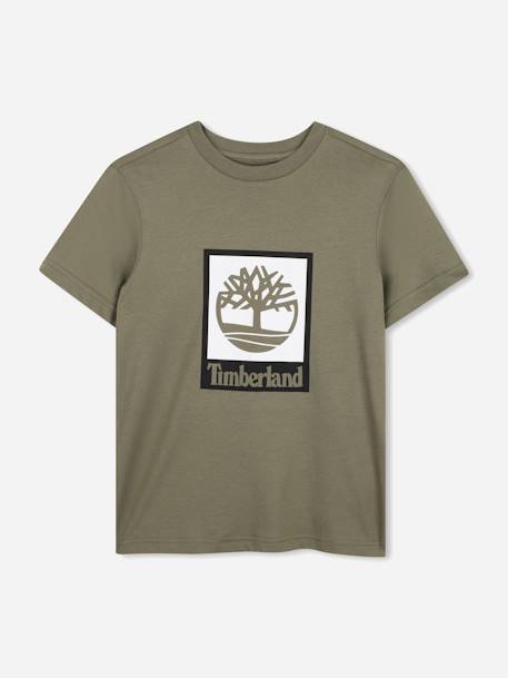 T-shirt  garçon col rond Marron clair+Vert 4 - vertbaudet enfant 