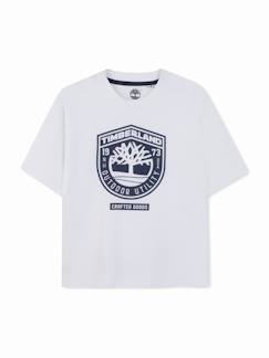 Garçon-T-shirt, polo, sous-pull-T-shirt  garçon col rond