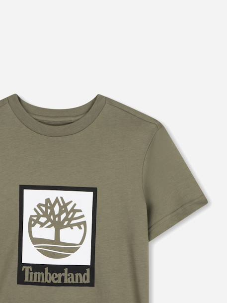 T-shirt  garçon col rond Marron clair+Vert 6 - vertbaudet enfant 