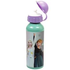 Puériculture-Gourde aluminium la reine des neiges 52 cl 520 ml à clapet et anse