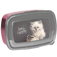 Puériculture-Repas-Vaisselle, coffret repas-Boîte goûter rectangulaire en pvc nasa chat à fenêtre 18 x 11 x 6 cm