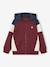 Sweat zippé garçon capuche coloblock bleu moyen+bordeaux+gris chiné+ocre+vert 5 - vertbaudet enfant 