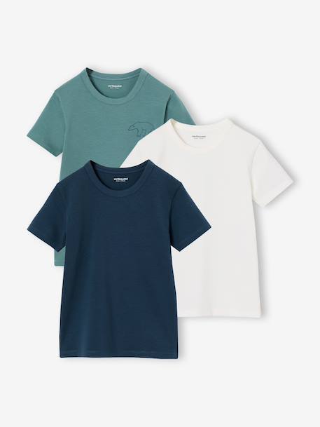 Lot de 3 T-shirts manches courtes garçon  - vertbaudet enfant