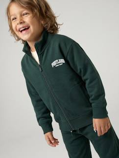 -Sweat zippé garçon col camionneur