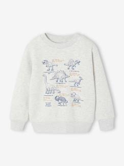 -Sweat garçon col rond manches longues