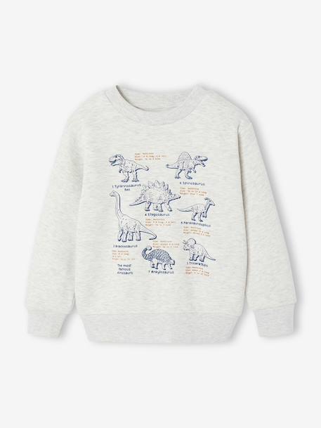 Garçon-Pull, gilet, sweat-Sweat garçon col rond manches longues