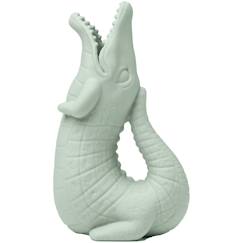 Jouet-Pichet de plage crocodile en silicone