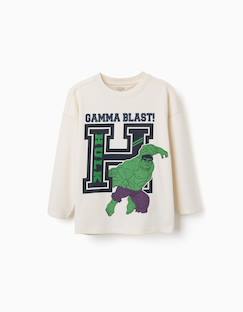 T-shirt en coton à manches longues et imprimé hulk en relief  - vertbaudet enfant