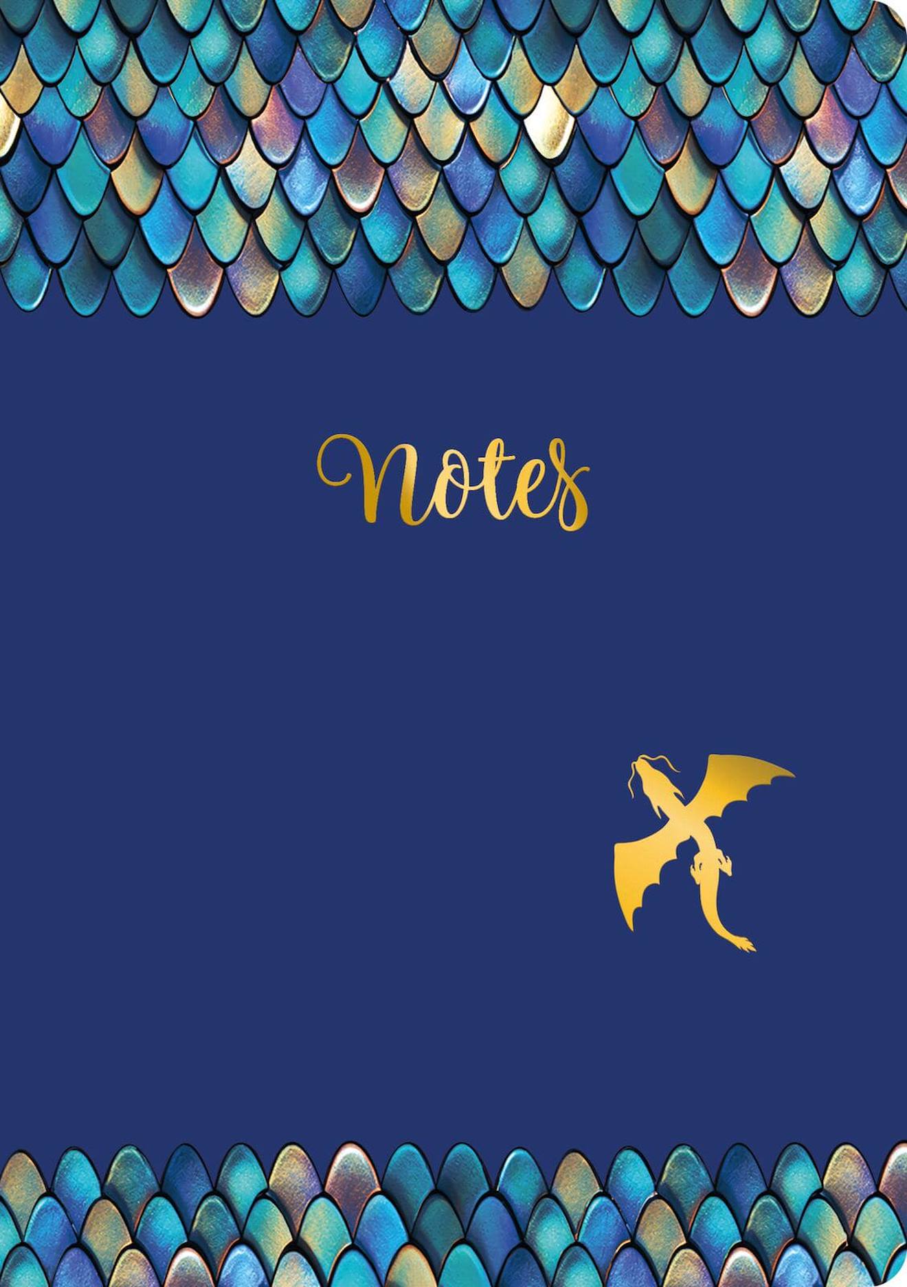Carnet De Note Dragon A5 Bleu (Maped) - Image 1