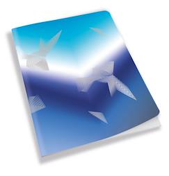 Carnet arctic vibes a5 80 pages lignées  - vertbaudet enfant