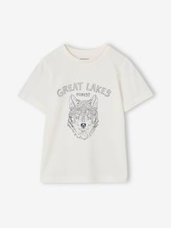 Garçon-T-shirt, polo, sous-pull-T-shirt-Lot 3 T-shirt manches courtes