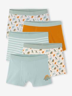 -Lot de 5 boxers garçon