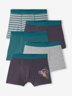 -Lot de 5 boxers garçon