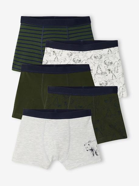 Lot de 5 boxers garçon  - vertbaudet enfant