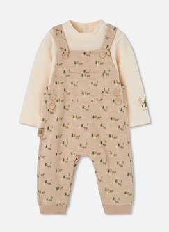 Ensemble maille bébé garçon imprimé ours  - vertbaudet enfant