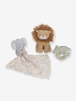 Coffret Cadeau -  - vertbaudet enfant