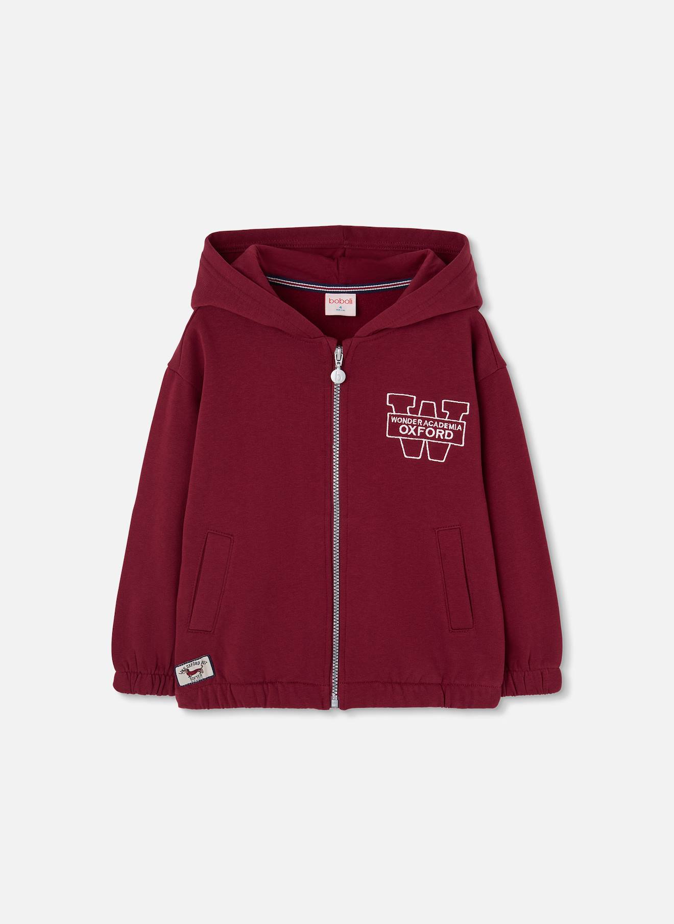 Sweat-shirt Garçon Imprimé Oxford Violet