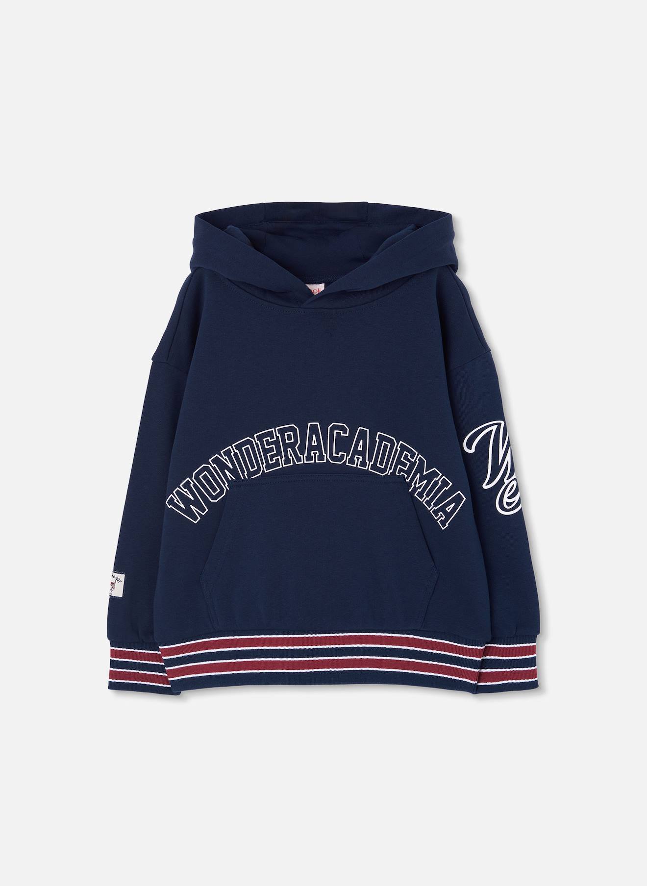 Sweat-shirt Garçon En Molleton À Capuche Bleu