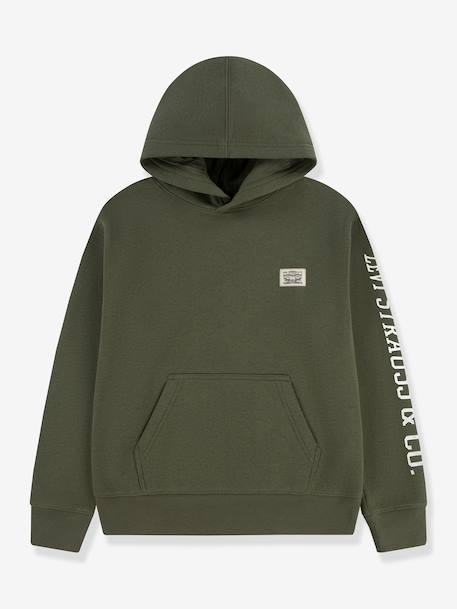 Garçon-Pull, gilet, sweat-Sweat à capuche