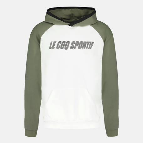 Garçon-Pull, gilet, sweat-Sweat à capuche essentiels
