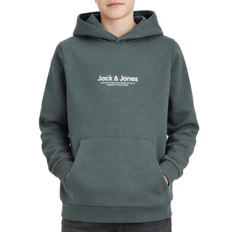 Garçon-Pull, gilet, sweat-Sweat à capuche garçon vesterbro