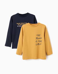 Garçon-T-shirt, polo, sous-pull-Lot de 2 t-shirts à manches longues avec imprimés