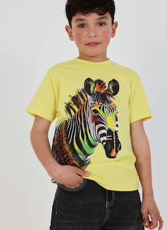 -T-shirt enfant coton zèbre