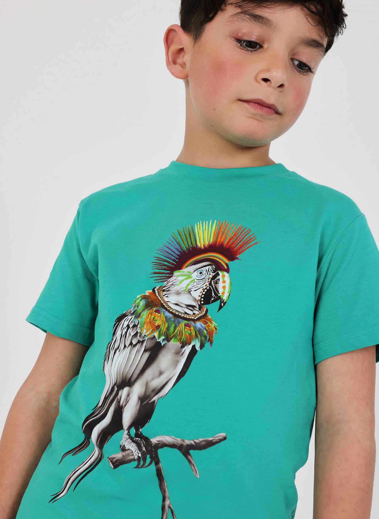 T-shirt Enfant Coton Perroquet Vert T-shirt Enfant Coton Perroquet Vert