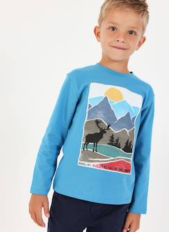 Garçon-T-shirt, polo, sous-pull-T-shirt-T-shirt maille garçon imprimé cerf