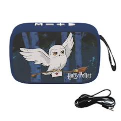 -Enceinte bluetooth portable hedwidge