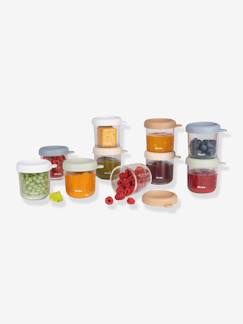 Puériculture-Repas-Lot 10 portions 250 ml