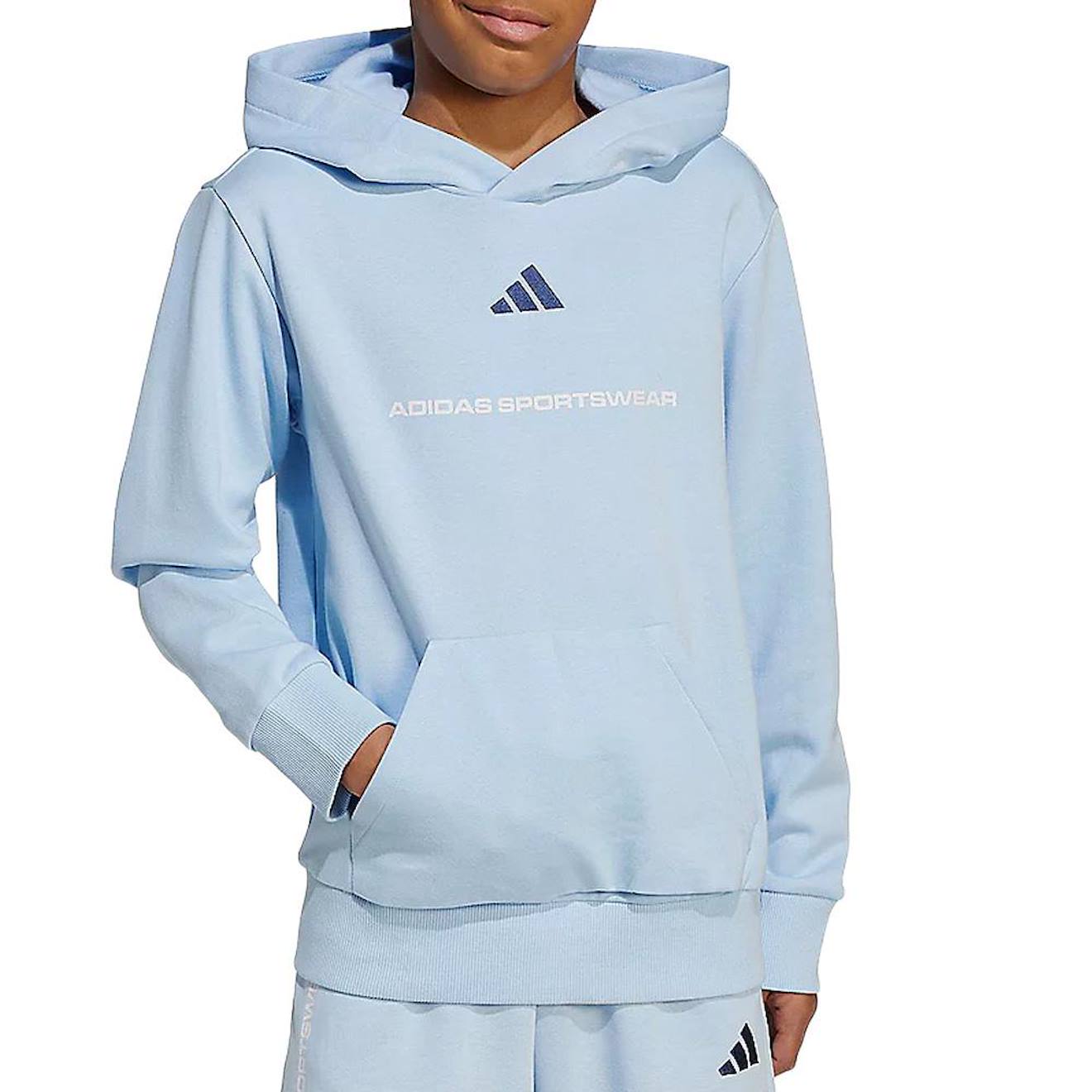 Sweat Capuche Garon Bleu 30 €