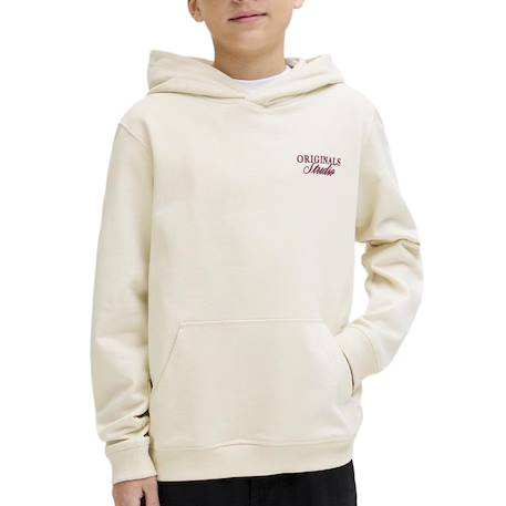 Garçon-Pull, gilet, sweat-Sweat à capuche garçon norrebro typo