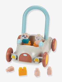 -Chariot de marche