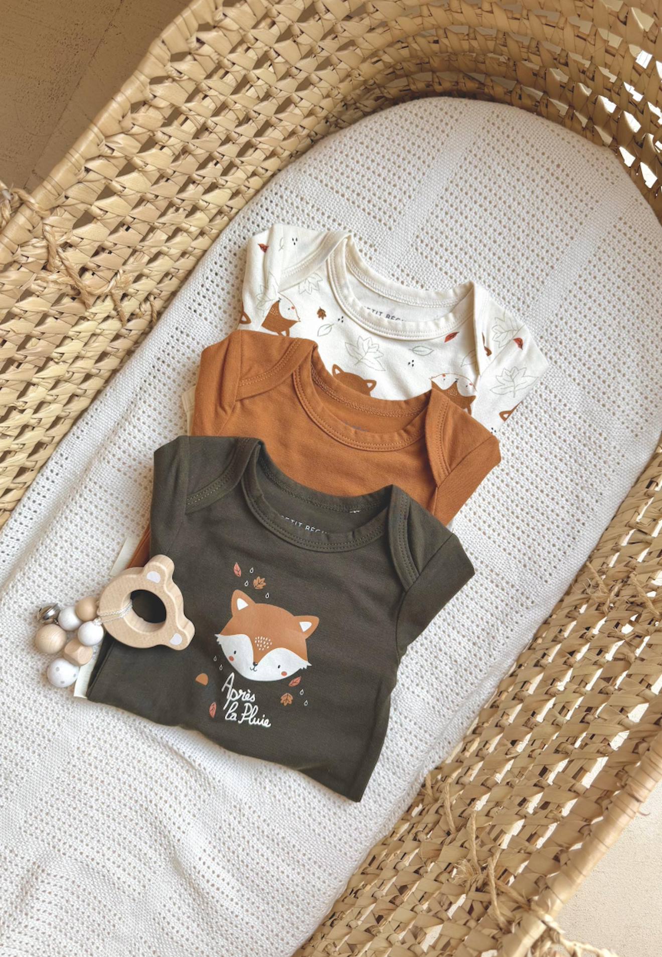 Lot De 3 Bodies Bébé Manches Longues Ginkgo Vert