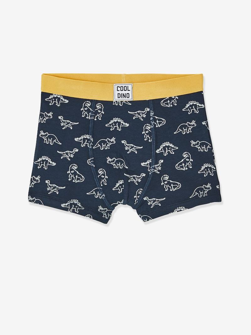 Lot de 5 boxers stretch garçon bleu ciel