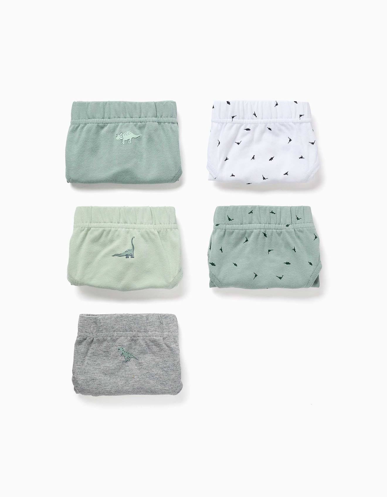 Lot De 5 Slips En Coton Avec Imprims Dinosaures Multicolore 18$